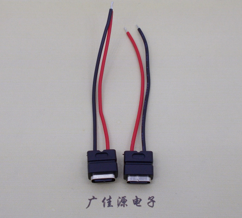 金华type c2p防水母座焊线式带线注塑成型带接线端子/不带接线端子充电连接器