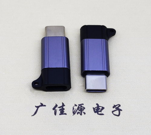 金华Type-C母转Type-C公 USB3.1 PD100W快冲接口